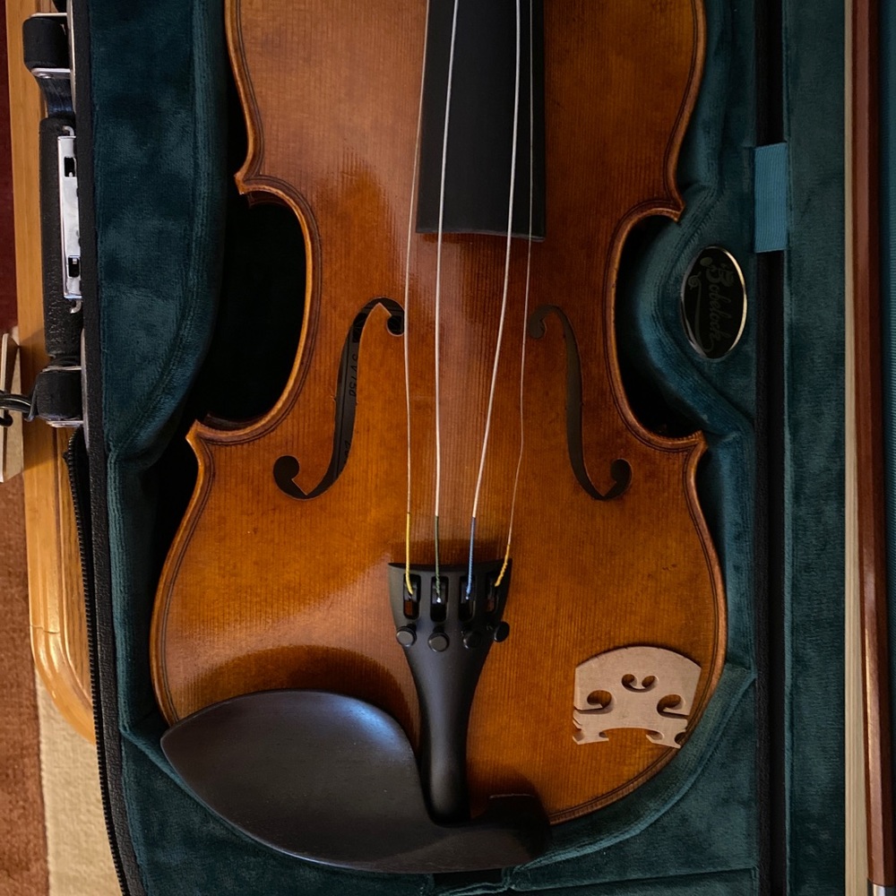 sv150 violin, violin bow, violin case